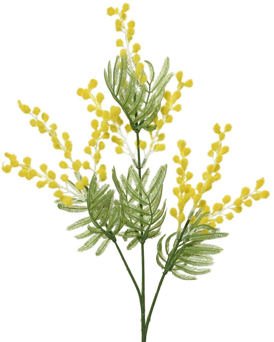 Everlands Zilverwattel Valse Mimosa Geel 67 cm - Kunstbloemen