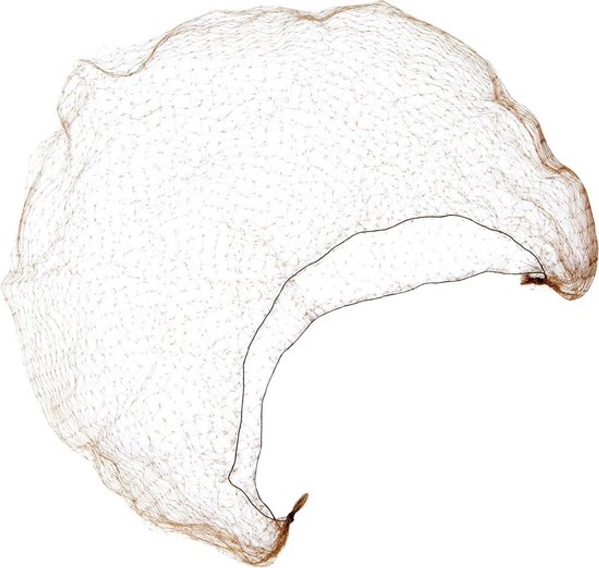 3 Pack Haar Netten voor Vrouwen - Invisble Haaraccessoire voor Kapsels