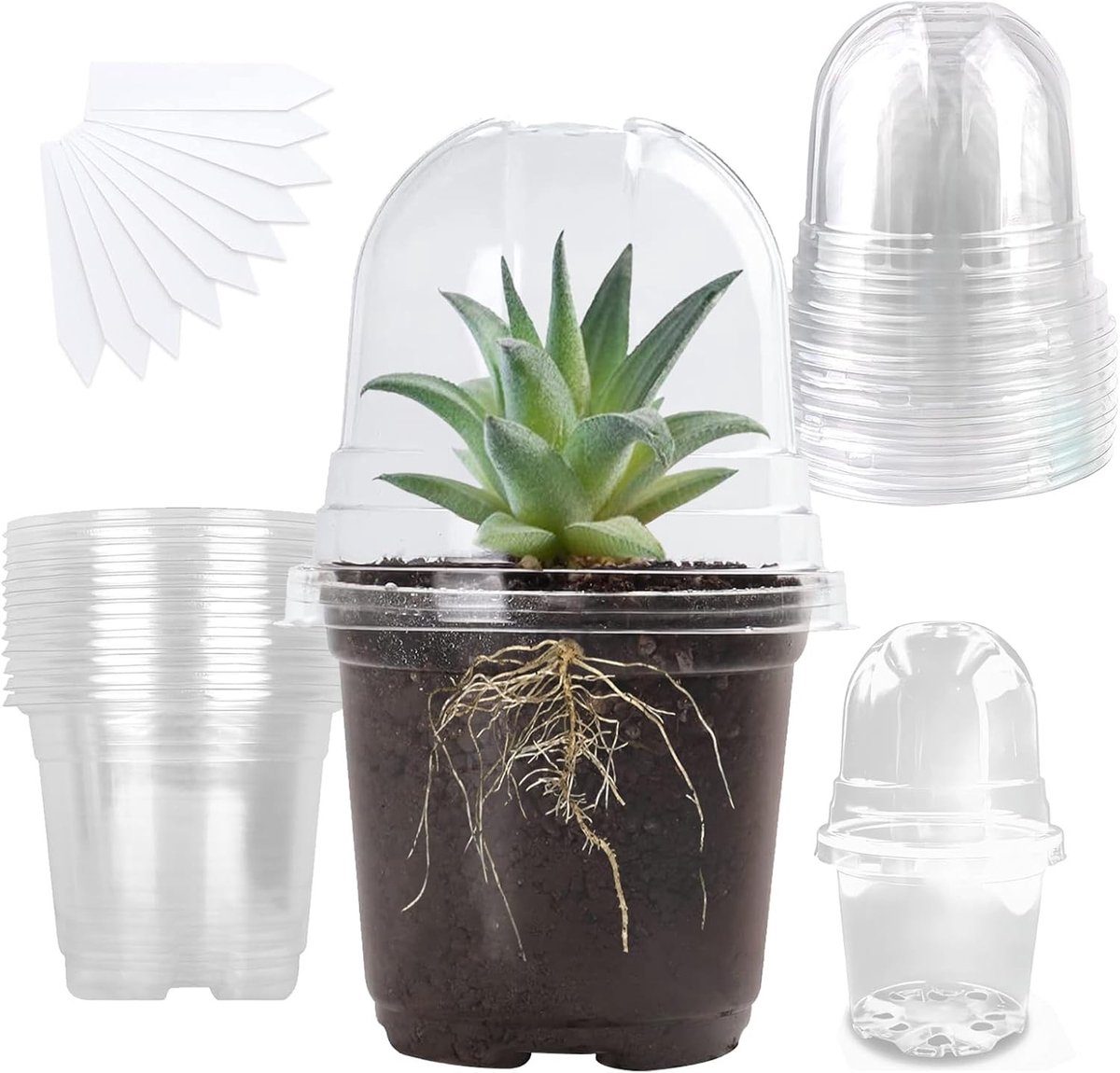 10 Stuks Kweekpotten met Vochtige Deksel, Ø 10cm Plantenpotten met 10 Plantlabels voor Zaden, Zaailingen en Vetplanten