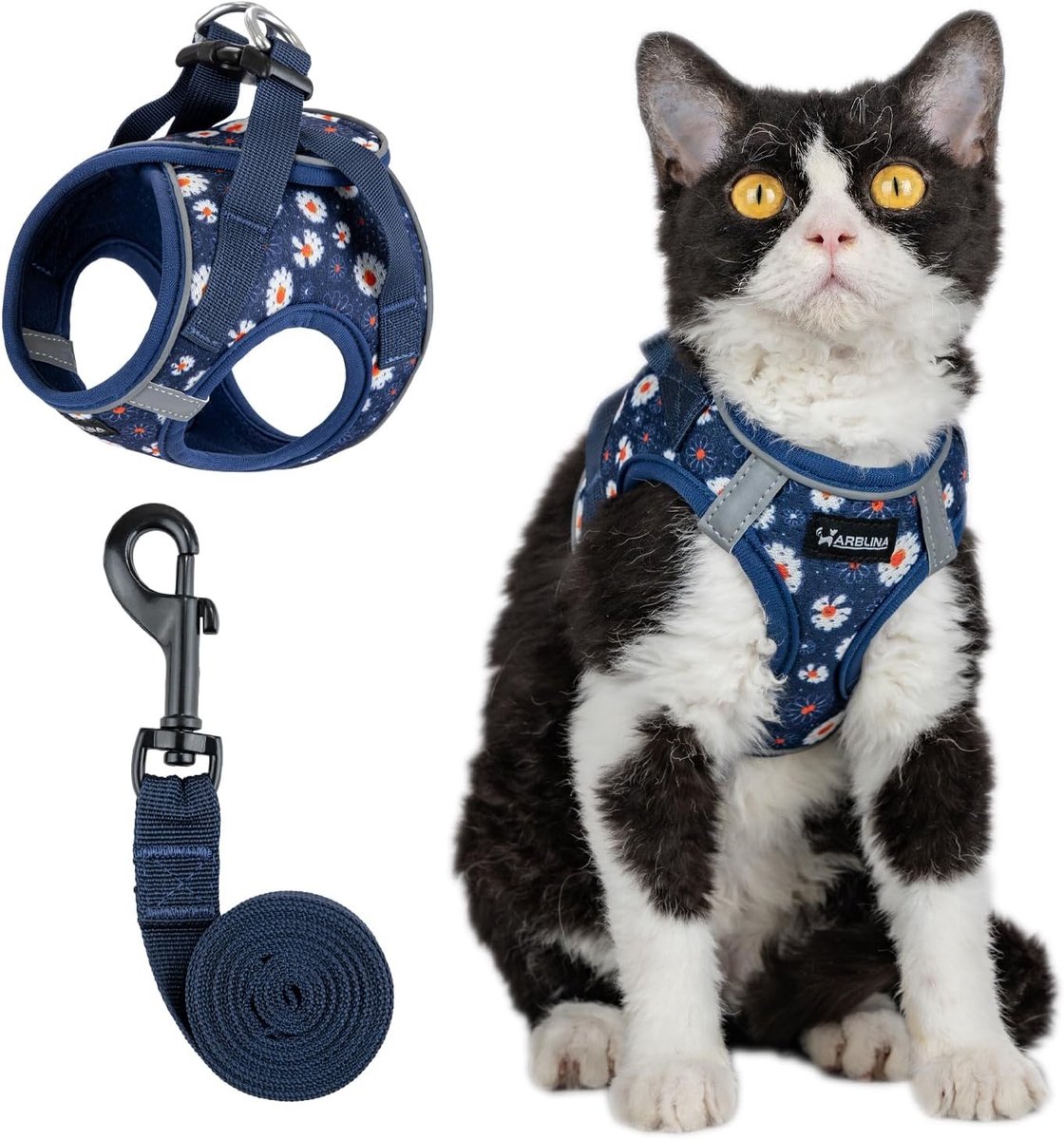 Kattenharnas - Blauw - XS - Lichtgewicht Mesh Harnas Met Reflectie - Voor Kleine Katten
