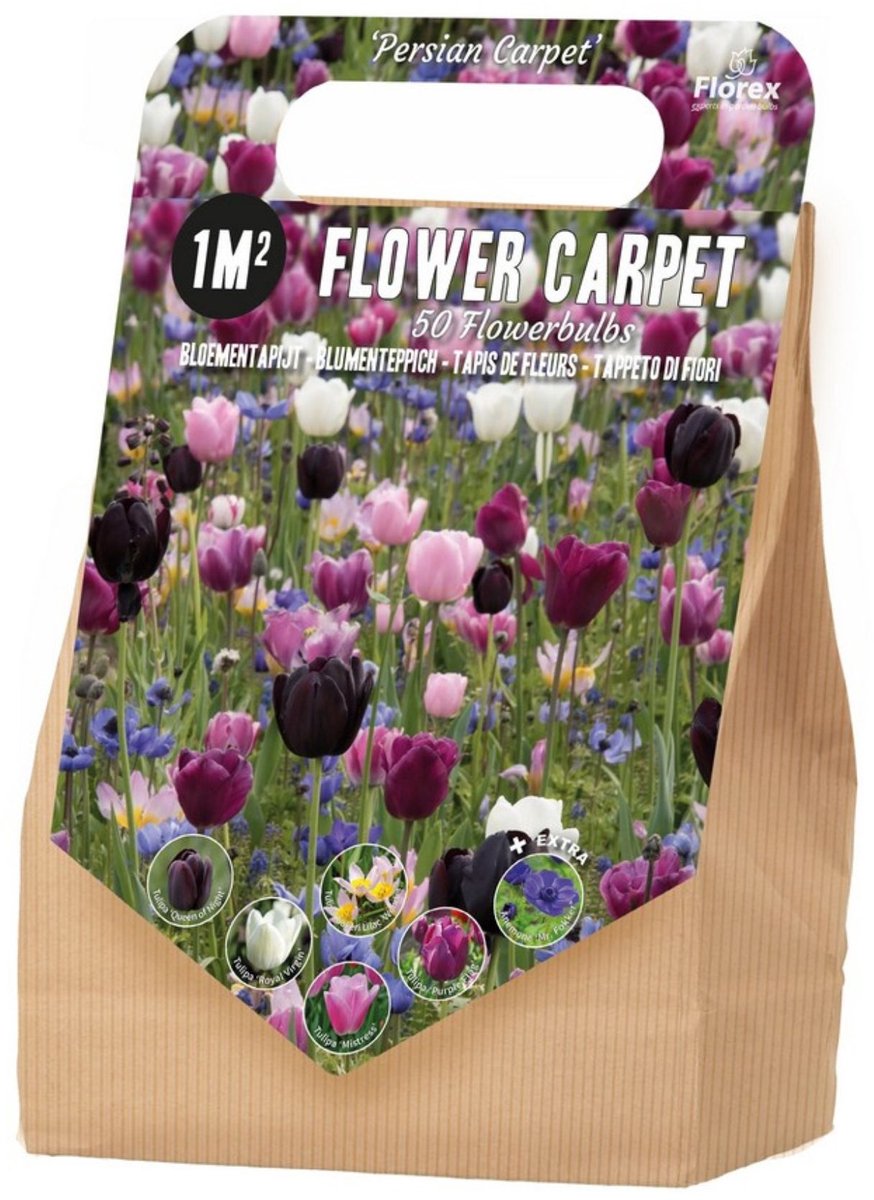 Bloembollenpakket 1 m² Perzisch tapijt – 50 bloembollen - Bijen-Vlinders - Snijbloemen - Voorjaarsbollen - bloeit in Maart / April / Mei