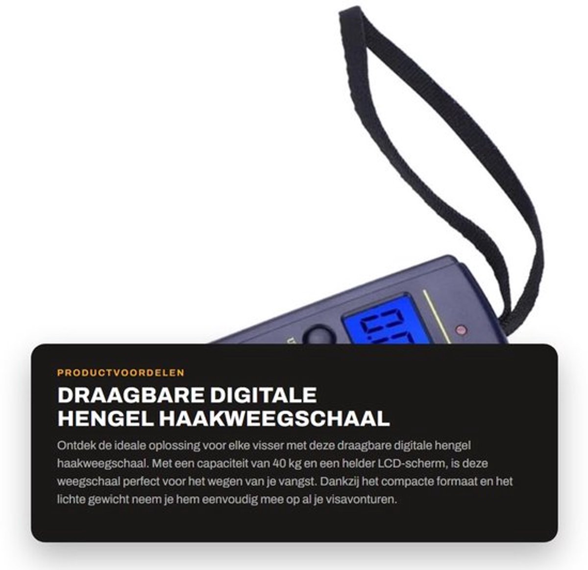 Hengelweegschaal 40kg - Draagbaar - Digitale Weegschaal - LCD Scherm - Roestvrij Stalen Haak - Achtergrondverlichting - Visschaal