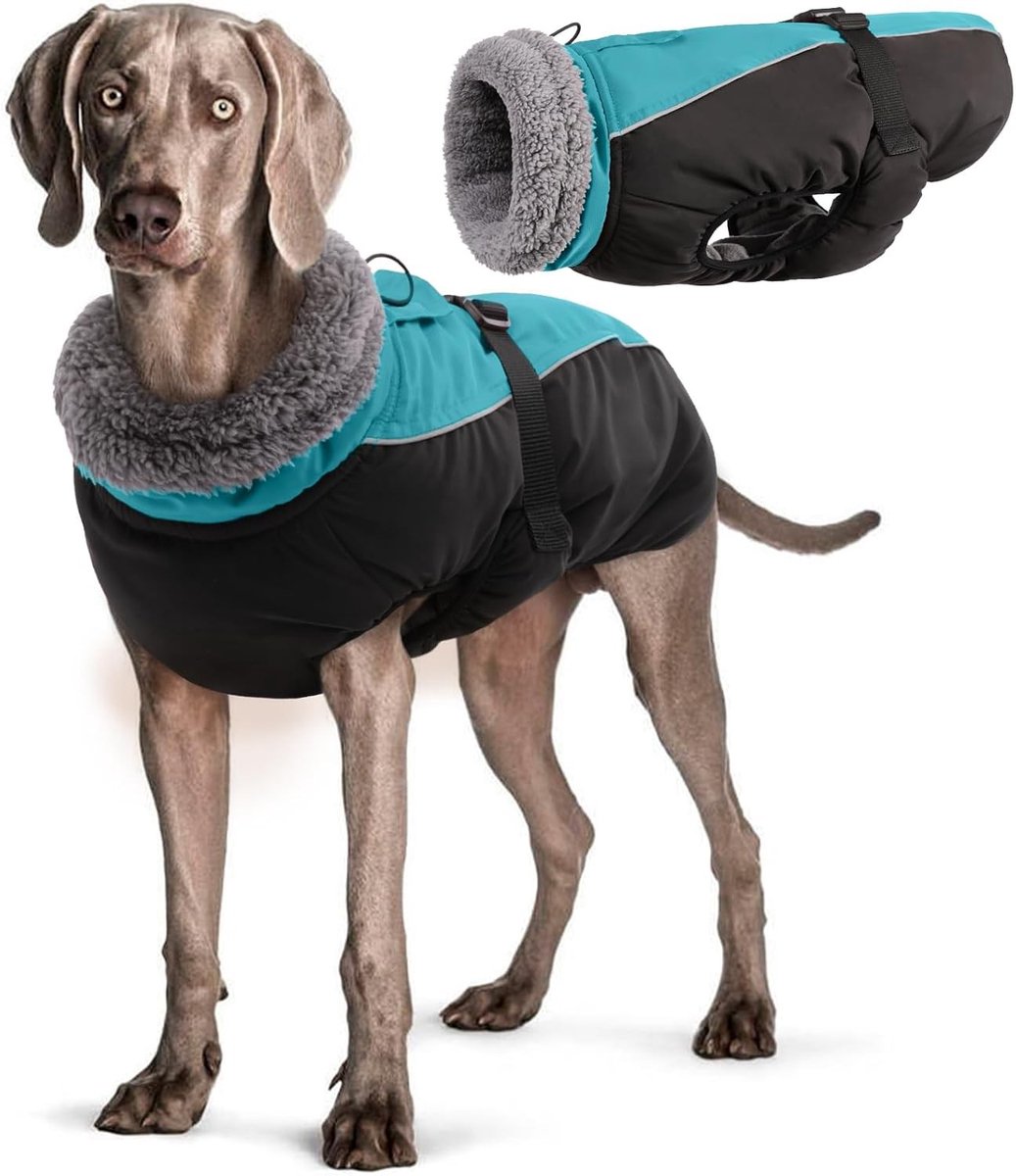 Hondenbadjas maat XXL - Hemelsblauw - XX-Large - Waterdichte Winterjas met Reflecterende Strepen - Voor Grote Honden