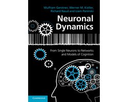 Neuronal Dynamics
