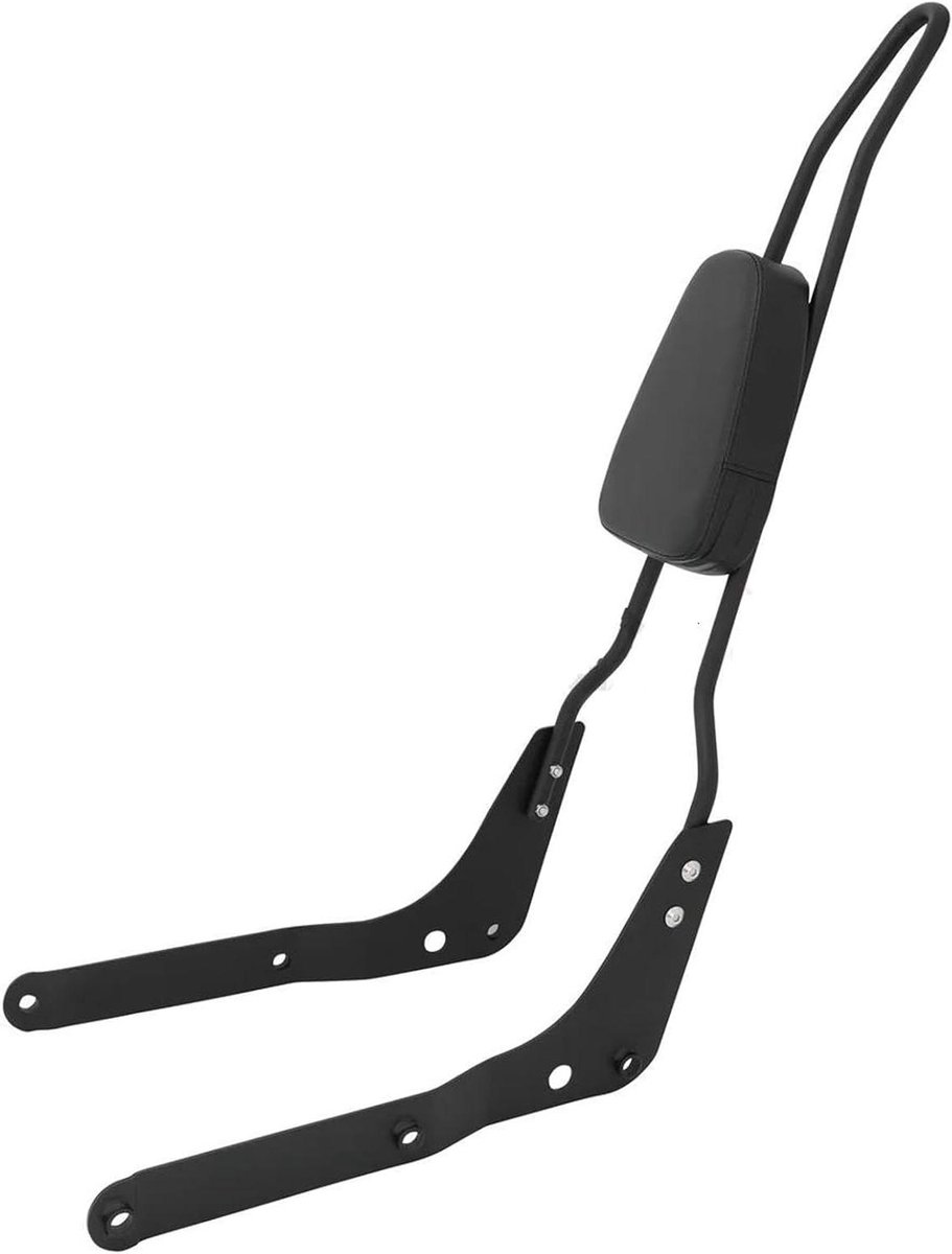 Passagiersrugleuning Motor - Motor Sissybar Kussen - Comfortabel Reizen - Waterdicht Weerbestendig - 32 kg - Zwart