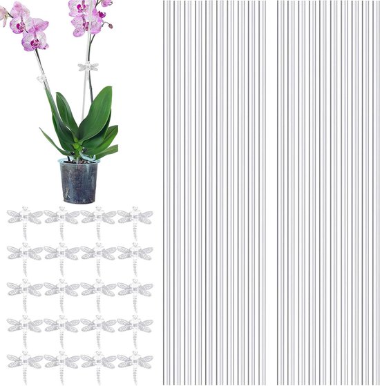 Klimplantsteunen Set - Plantenstokken Acryl - Planten Ondersteunen - Glad en Braamvrij - 40 cm - Transparant