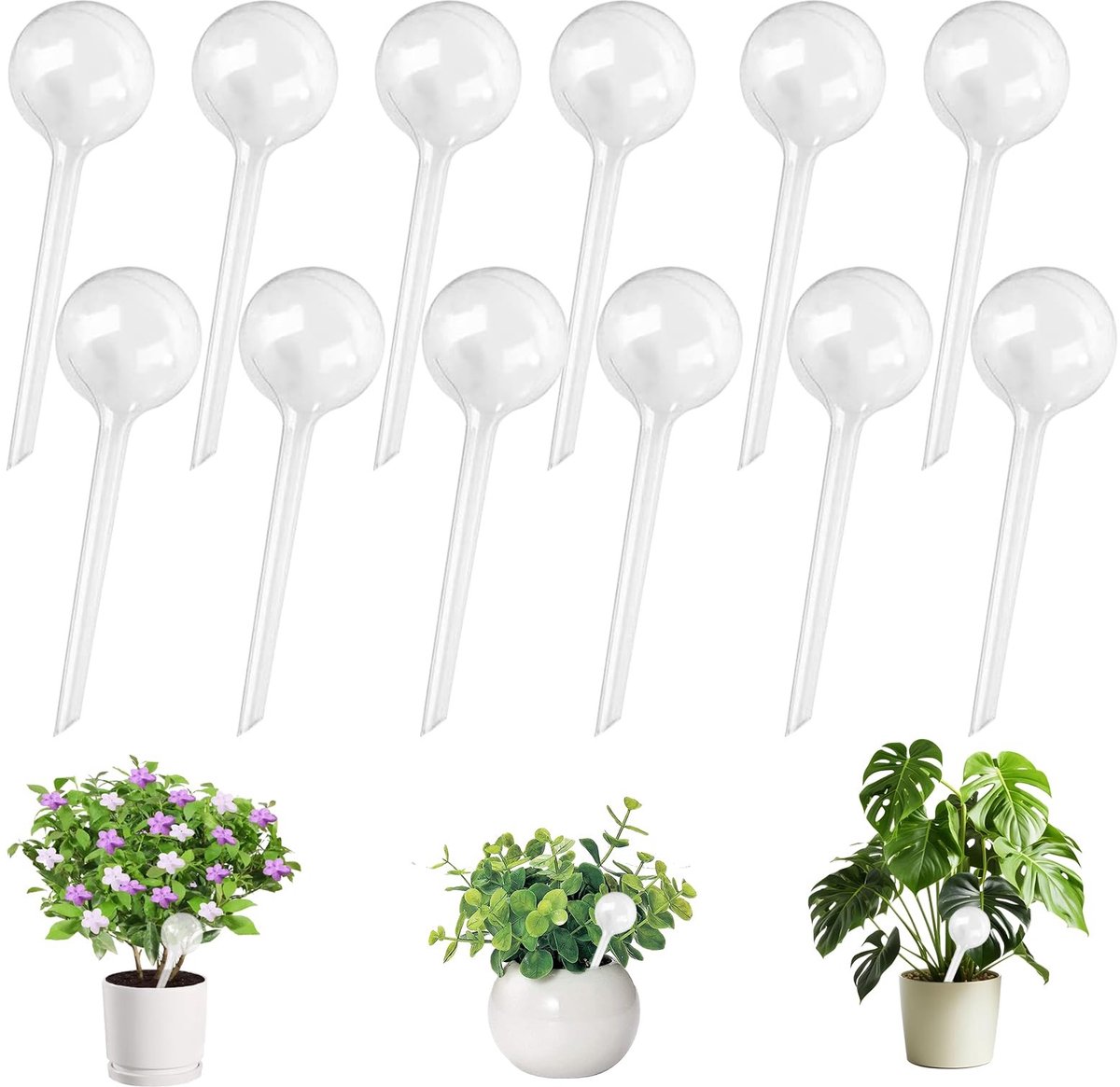 Omgoods - Irrigatieballen voor Planten met 70ml Capaciteit