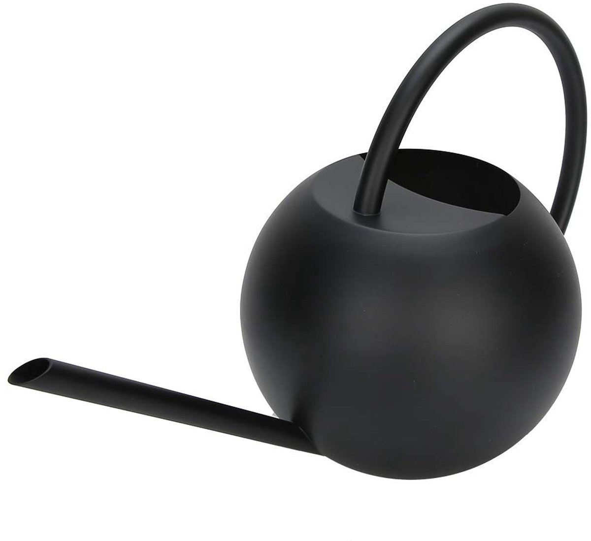 Omgoods- Gieter 1 Liter - Gieter Klein - Gieter Kamerplanten - Gieter Roestvrij Staal - Gieter met Lange Uitloop - Ergonomische Handgreep - Plantenbewateringscan
