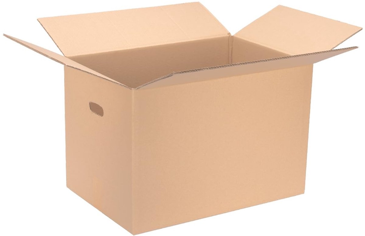 Omgoods - Set van 10 Vouwdozen voor Verpakking en Opslag
