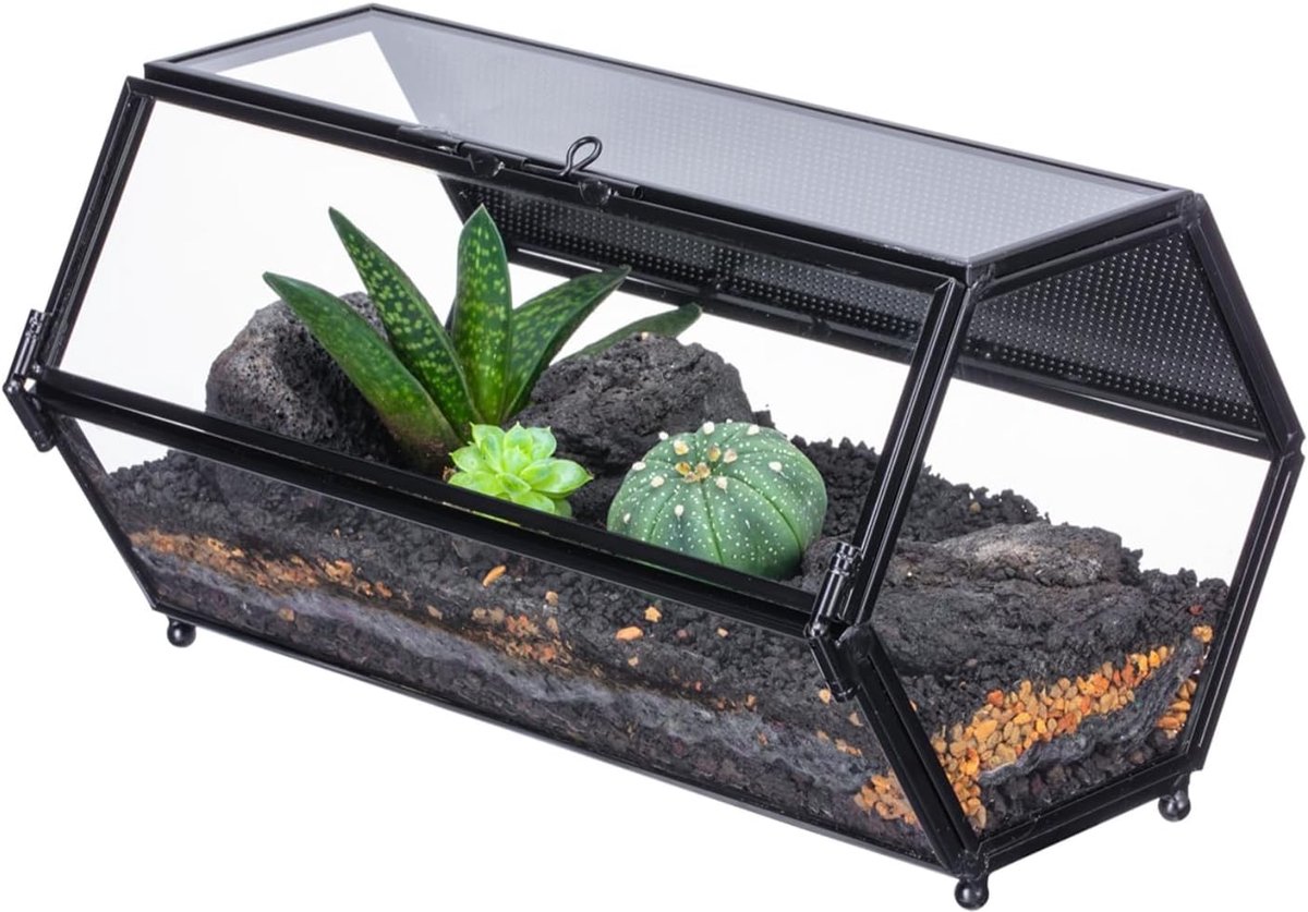 NCYP Kleine glazen behuizing terrarium met gaas en deur voor kleine kever - ShopVlot