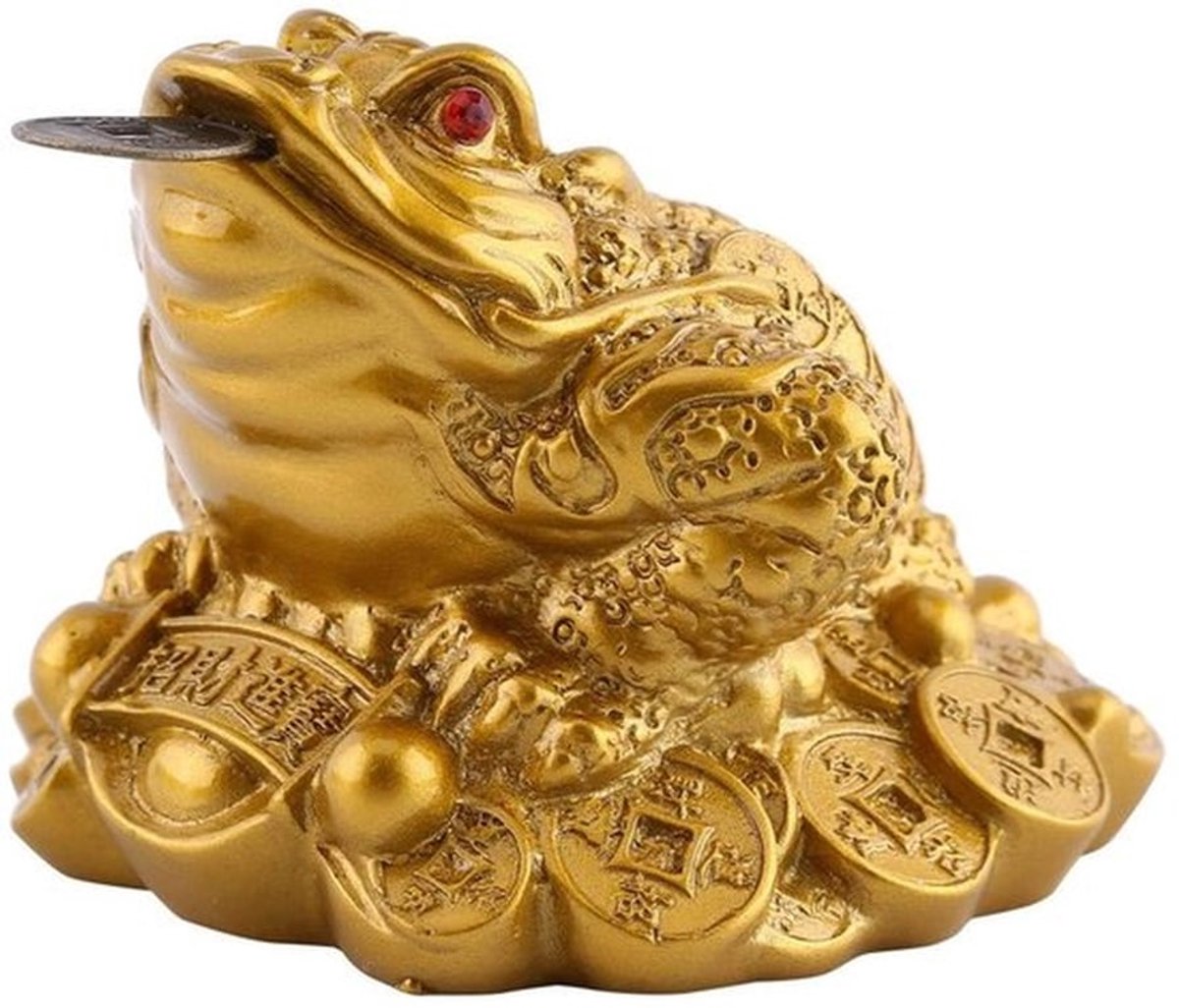 Gelukskikker Feng Shui - Rijkdom - Decoratie - Geld