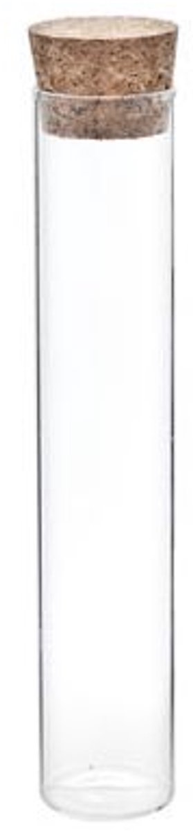 Cosy & Trendy Proefbuisje Lang 100ml D3xh15cm Glas