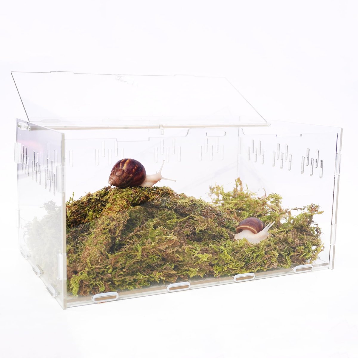 Solidchoice - Slakken Tank Kit met Mos en Klim Speelgoed