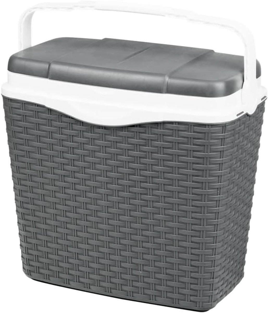 Koelbox met handvat - Isolatiebox - Buitenactiviteiten - Rotan-look design - 24 liter - Antraciet