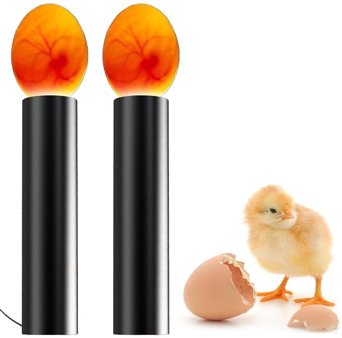 Eiervoedingslamp - Eiertester - Ei-ontwikkeling Monitoren - Verstelbare Lichtmodi - 2 Stuks - Wit