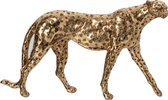 J-Line Jachtluipaard - polyresin - goud
