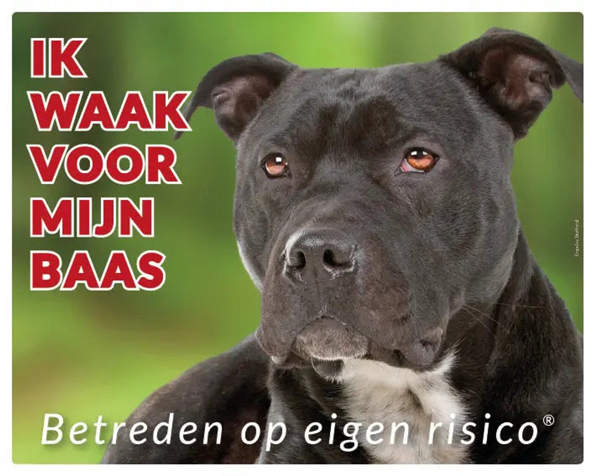 Engelse Stafford Waakbord