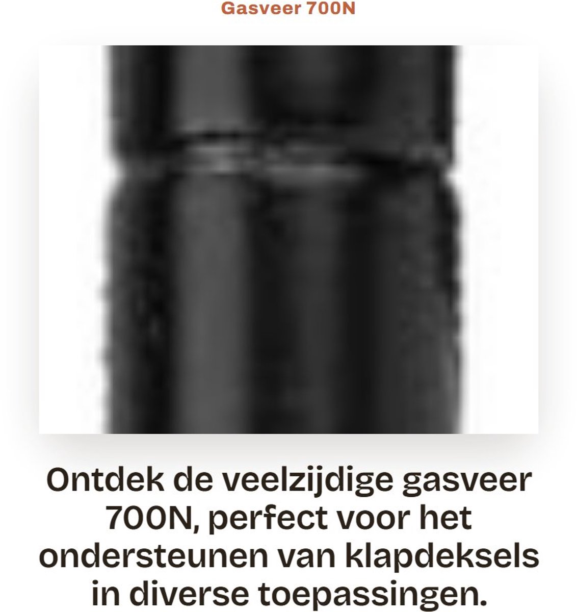 Dailygoods- Gasveer 700N Professionele Kwaliteit - Gasveer 100N - Gasveer 300N - Gasveer 500N - Gasveren - Geschikt voor Klapdeksel - Drukveer