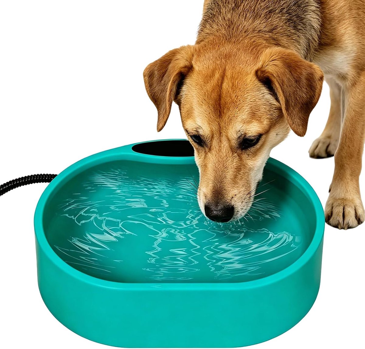Verwarmde waterbak voor huisdieren 3,7 l - vorstbestendig - antislip - drinkwater in de winter - ShopVlot