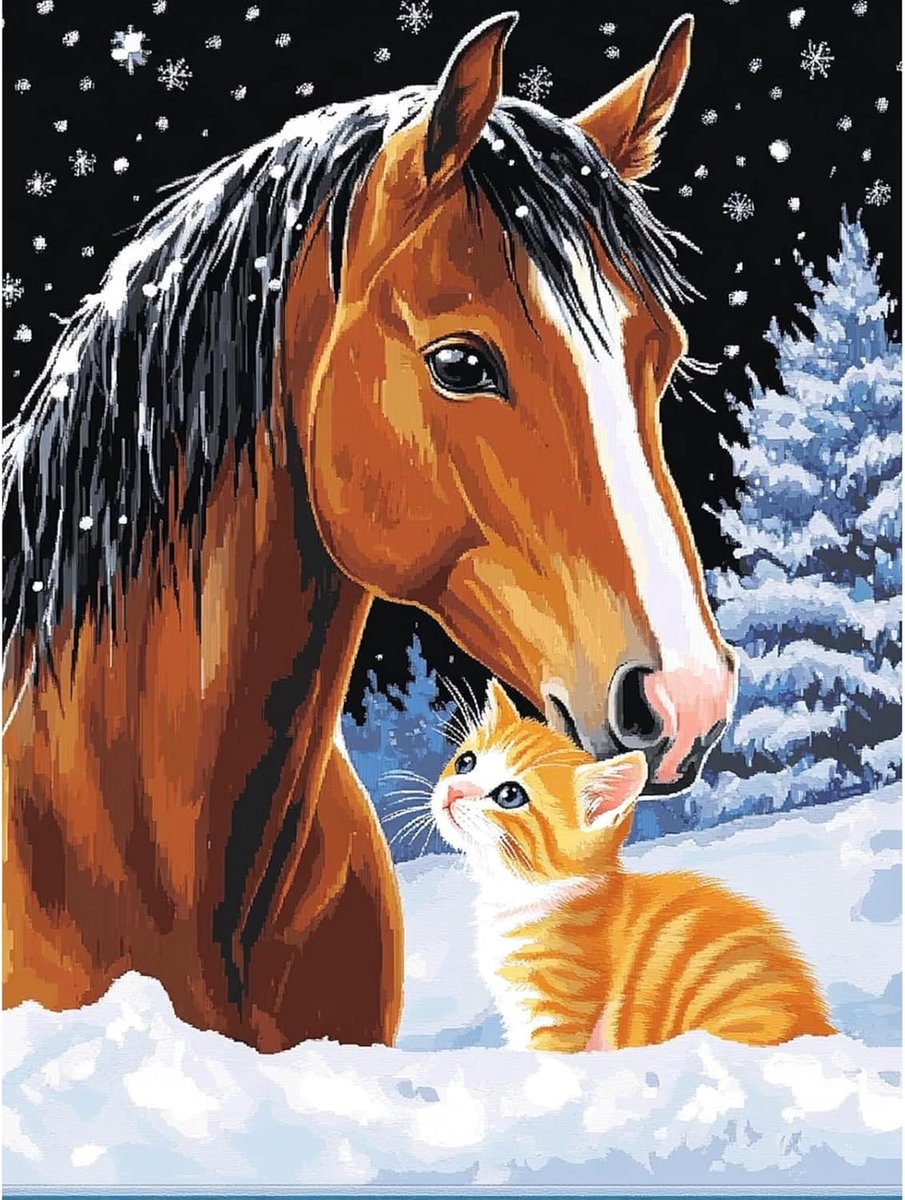 Schilderen op nummers voor volwassenen - Paard en kat - Inclusief kwastset en acrylverf - ShopVlot
