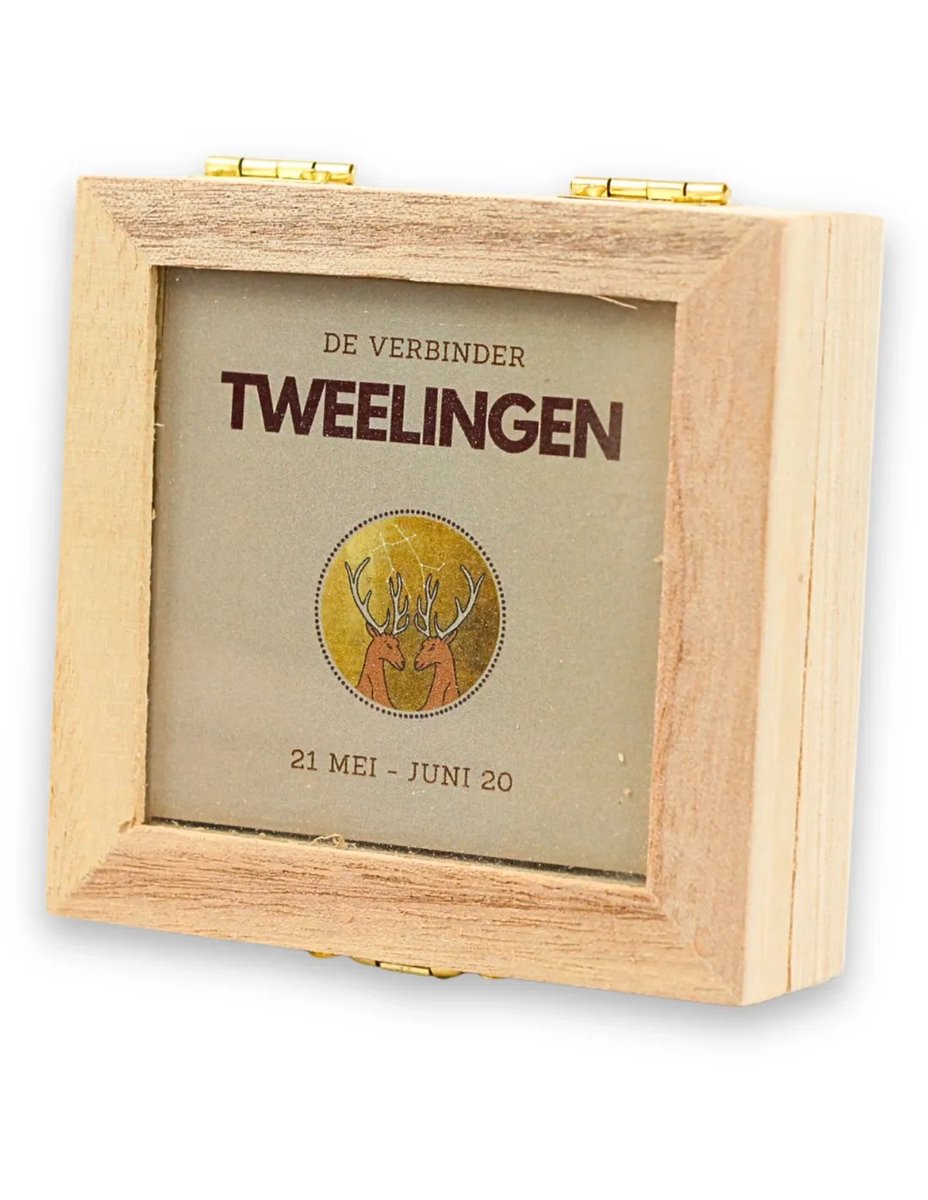 Sterrenbeeld trommelsteen setje - TWEELINGEN