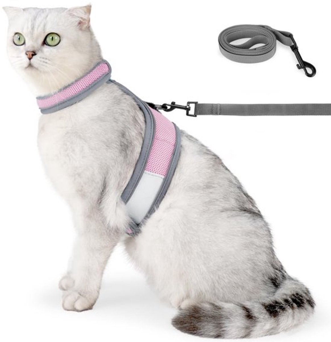 Allecto - Reflecterend - Kattentuigje - Ontsnappingsbestendig - Roze