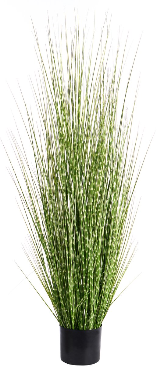 ZEBRA GRASS - Kunstplant in pot - Zwart/Groen - Kunststof