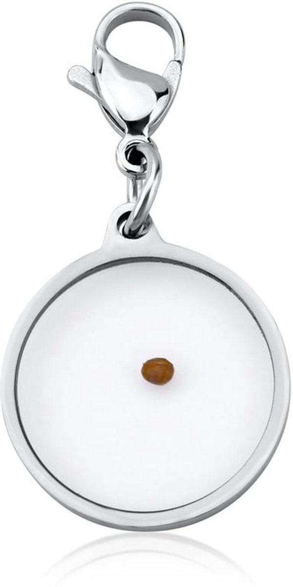 Ritssluiting Trekker Mosterdzaad Charm - Roestvrij Staal - Inspirerend Sieraad - Cadeau voor Mannen/Vrouwen - 3,4x1,8 cm - Duurzaam en Betrouwbaar - Sleutelhanger