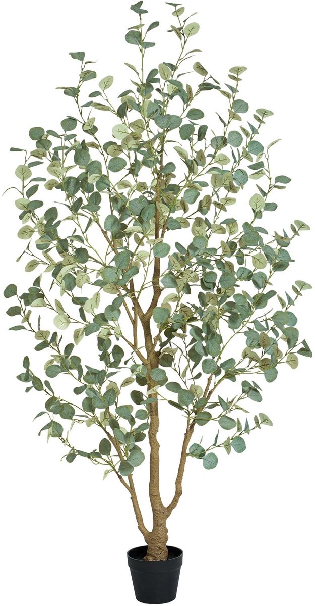 Solidchoice - Kunstmatige Eucalyptusboom 180 cm voor Binnen