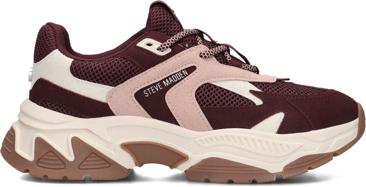 Steve Madden Ample Sneakers - Dames - Bordeaux - Maat 41