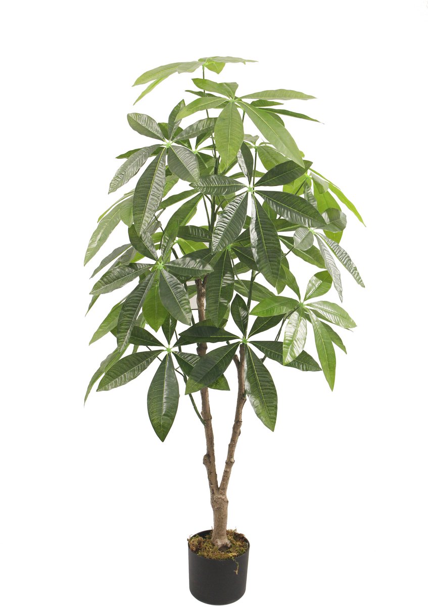 Kunstboom Fortune geluksplant 125cm