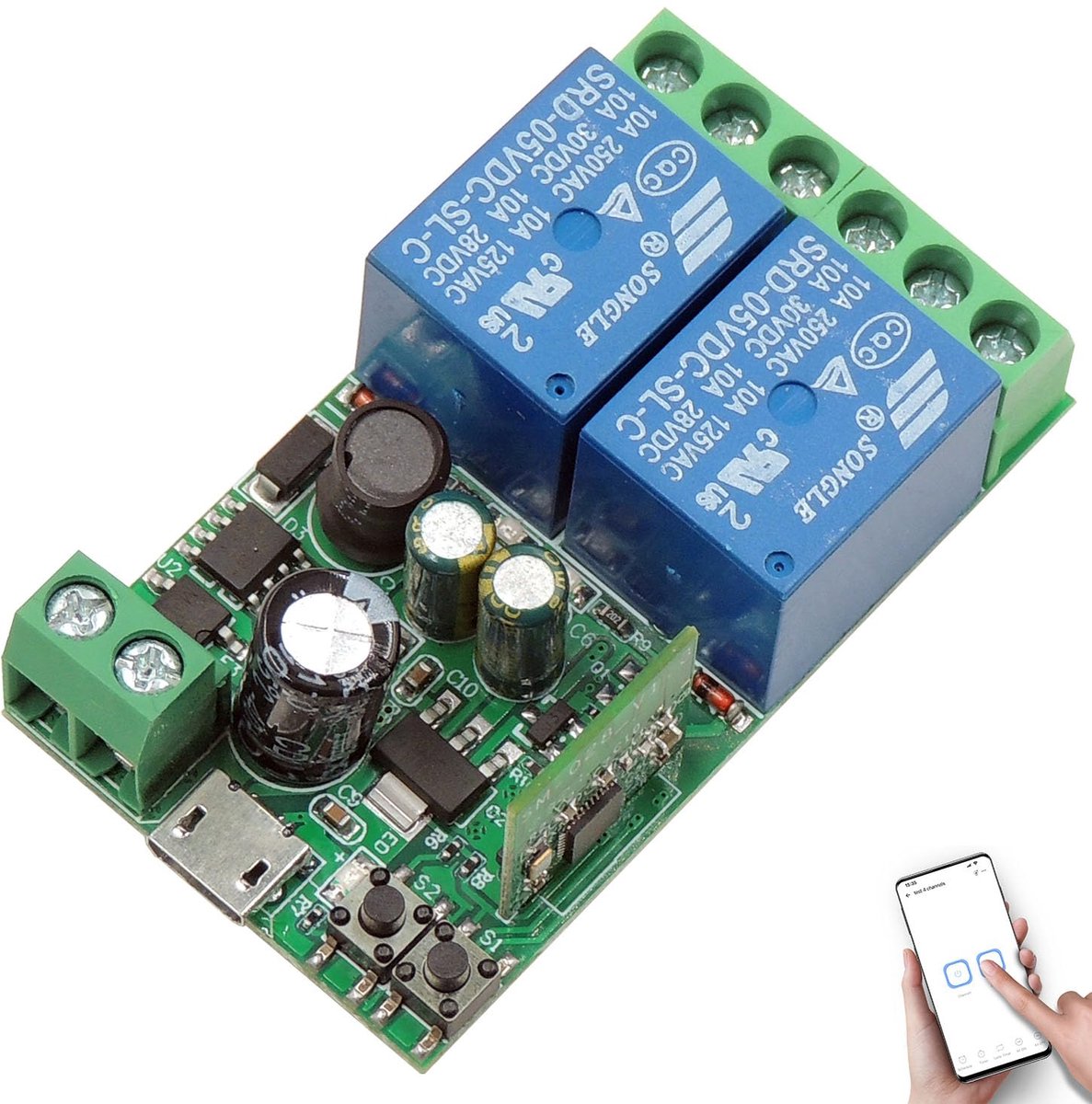 2-Kanalen WIFI Smart Switch voor DC 5V 12V 24V 36V - Passieve Uitgang Relaismodule met eWelink APP Controle, Compatibel met Alexa en Google Home