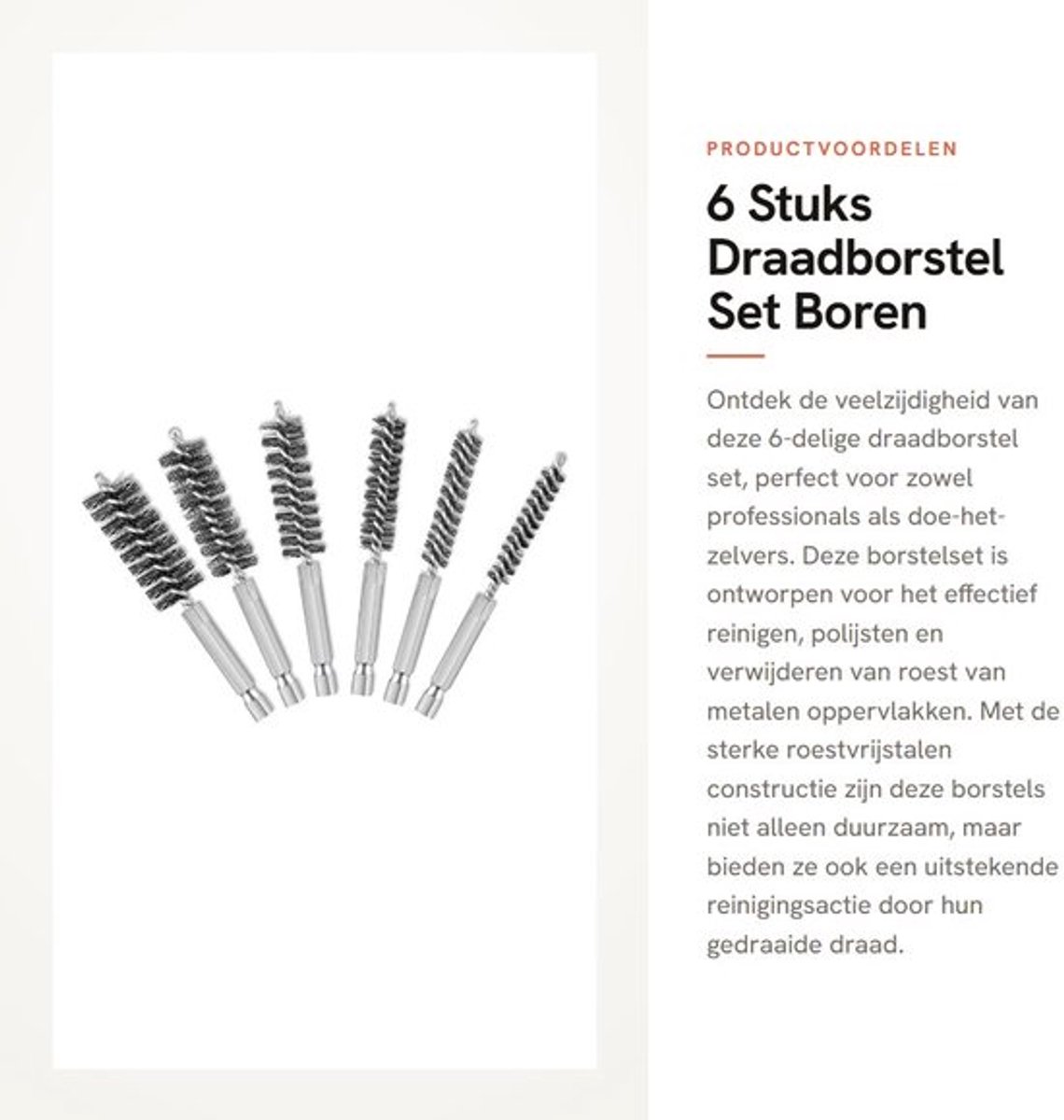 Draadborstel Set 6 Stuks - Roestvrij Staal - Boringborstel - Reinigingsborstel - Handvat 1/4 Inch Hex Shank - Duurzaam en Sterk - Borstelset