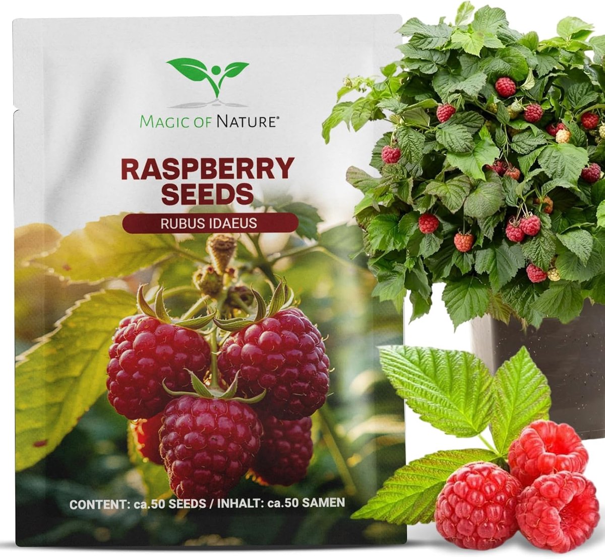 SnelShoppen - Magic of Nature Rode Frambozen Zaden (50 Stuks) - Zelfvoorzienende Planten voor Tuin & Balkon - Robuuste Rubus idaeus voor Verse Bessen