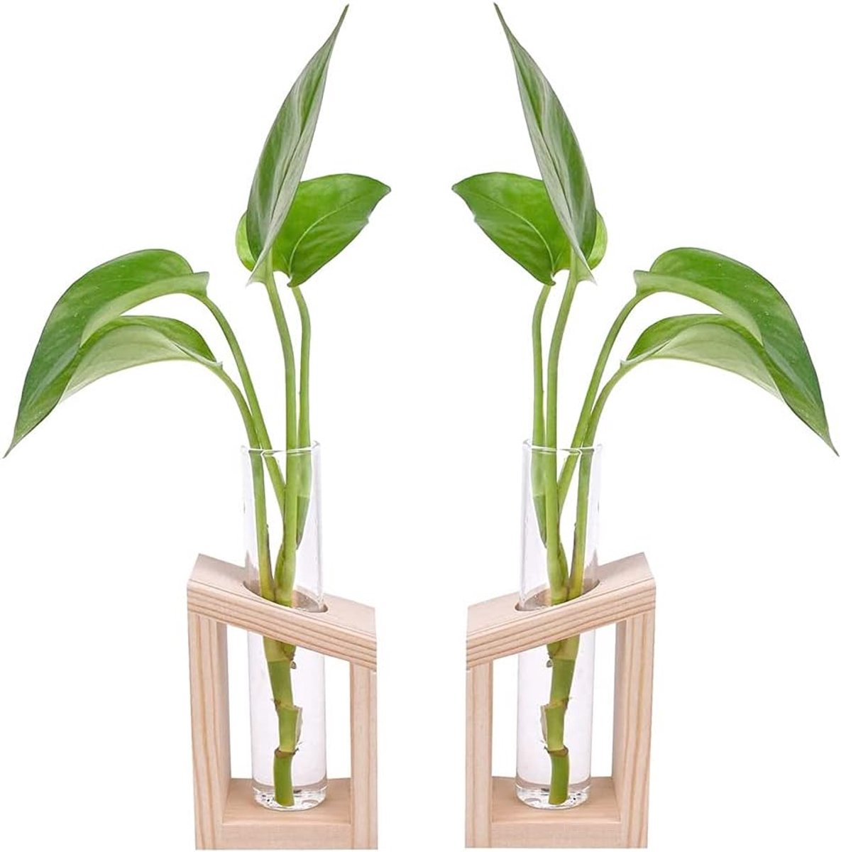 SnelShoppen - 2 Stuks Houten Testbuis Vaas Hydroponisch met Houten Frame, Creatieve Bloemenvase voor Kantoor, Thuis Decoratie, Bruiloft Cadeau