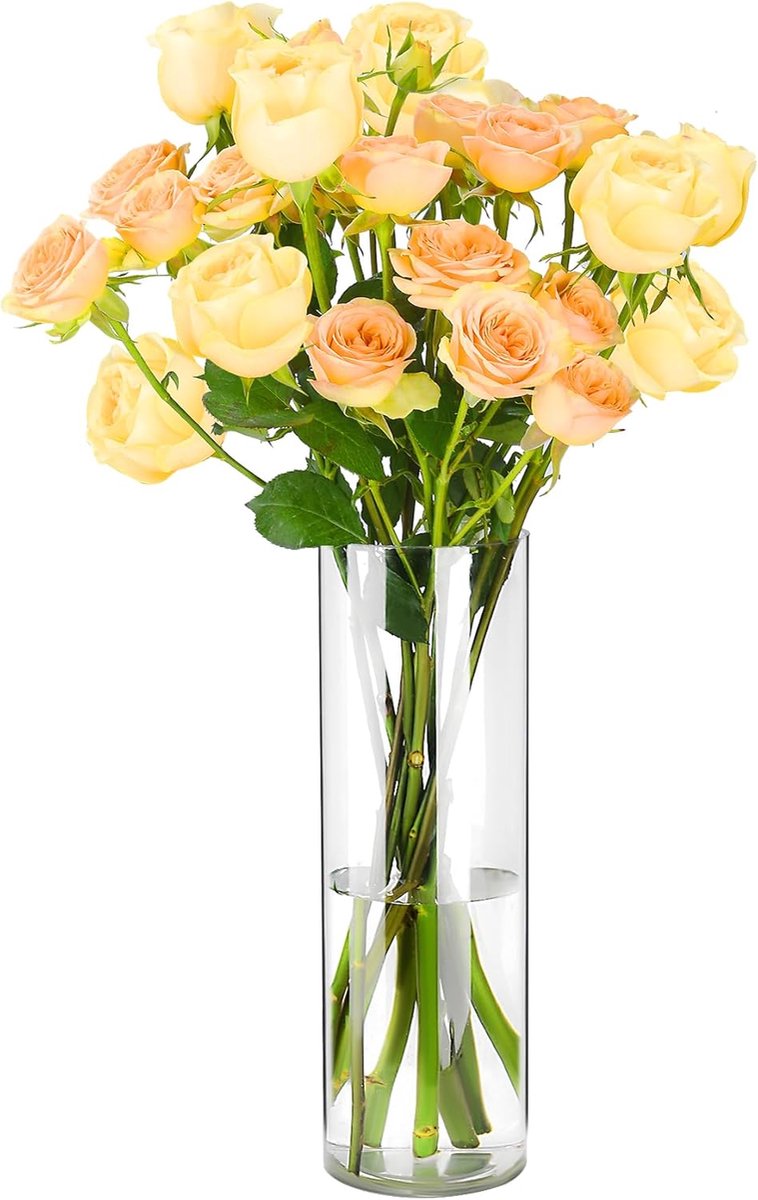 SnelShoppen - Transparante Acrylaat Vaas - Schokbestendige Lichte Cilindrische Bloemenvaas voor Woonkamer, Slaapkamer, Kantoor, Badkamer - Decoratieve