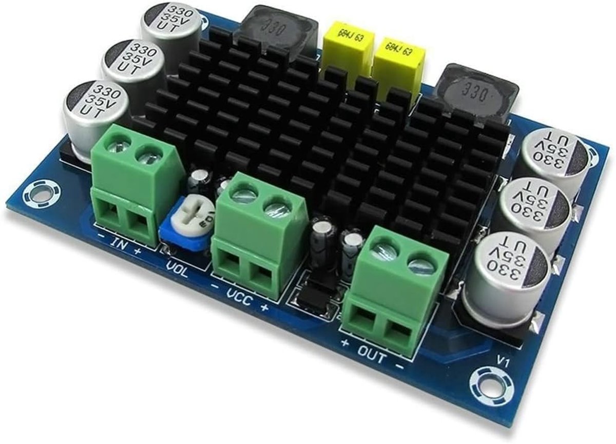 SnelShoppen - TPA3116 D2 100W Mono Digitale Audiokrachtversterker Board voor Auto - 12V-24V - Laag Geluid - Hoge Druk - DIY Audio