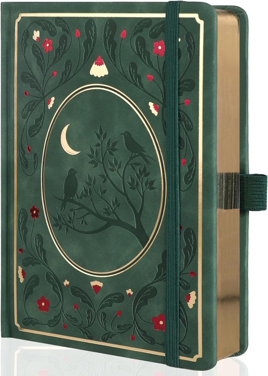 SnelShoppen - A5 Hardcover Dot Notebooks voor Vrouwen - 160gsm Dikte, 190 Genummerde Pagina's, Planner en Organisatie, Kleurvol Design voor Creatief S