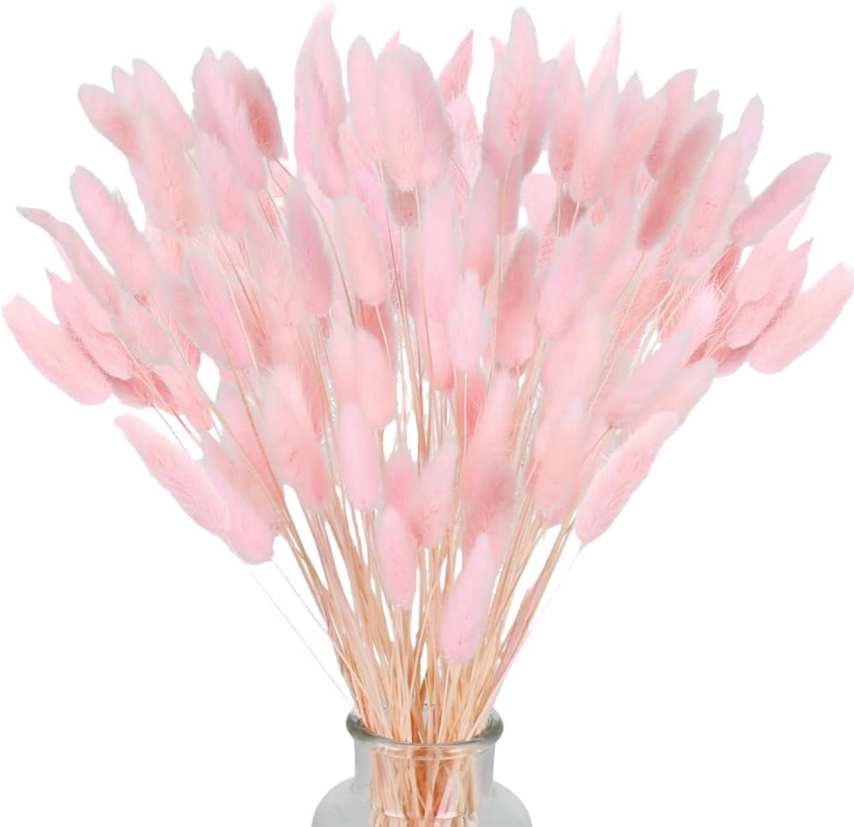 Gedroogd pampasgras - konijnenstaart - gras - 60 stuks - natuurlijke droogbloemen - boeket - decoratie - kunst - groot - droogbloemen - pampasgras voor interieur - fotografie - bruiloft - roze
