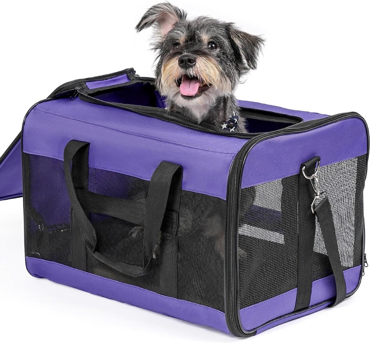 Hondentransportbox - Reistas huisdier - Veilig reizen - Opvouwbaar ontwerp - 51 x 31 x 31 cm - Paars