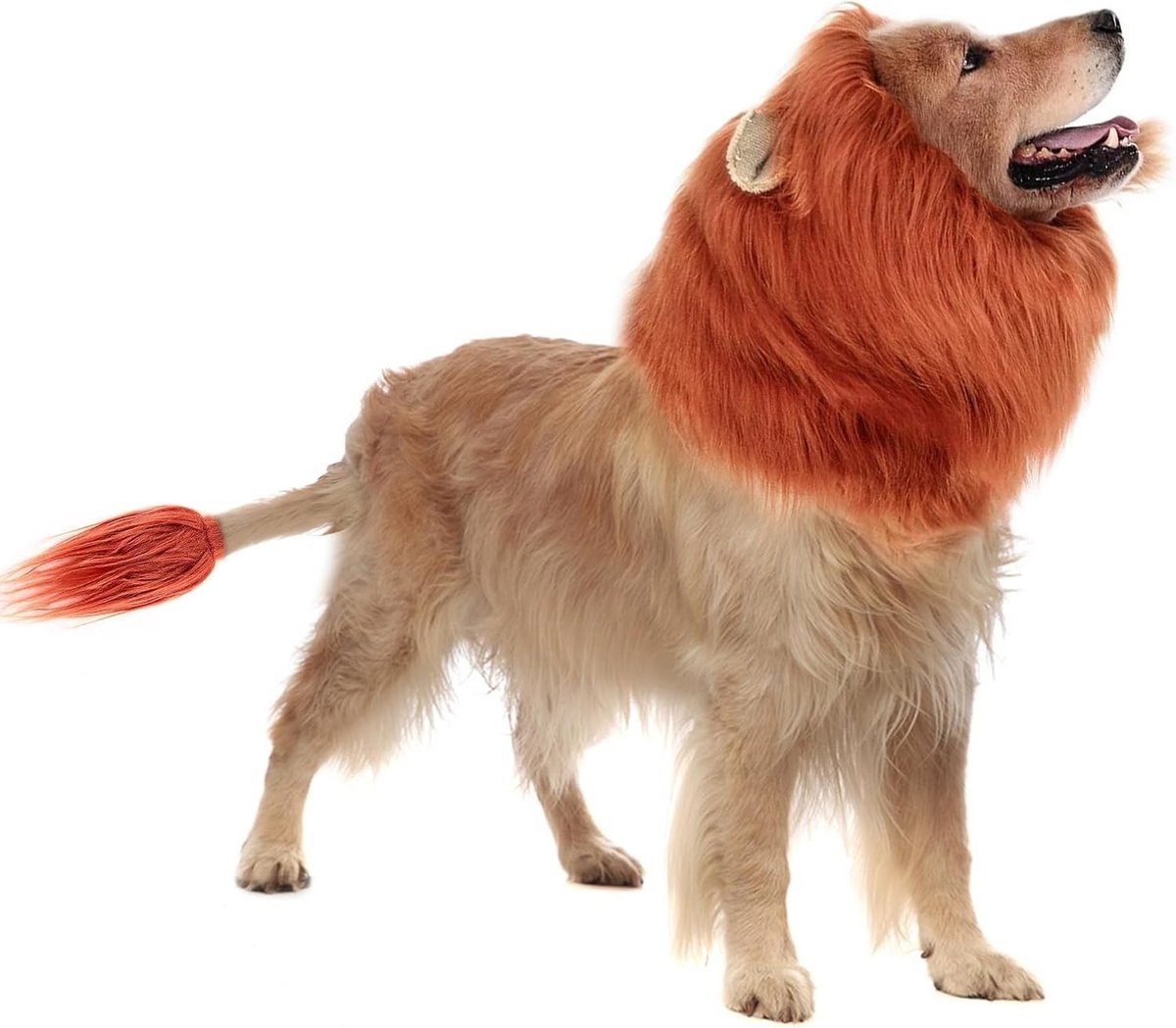 Halloween Kostuum voor Honden - Realistische Leeuwenkap voor Middelgrote en Grote Honden, Perfect voor Foto's en Vermaak (Rood Bruin, M)