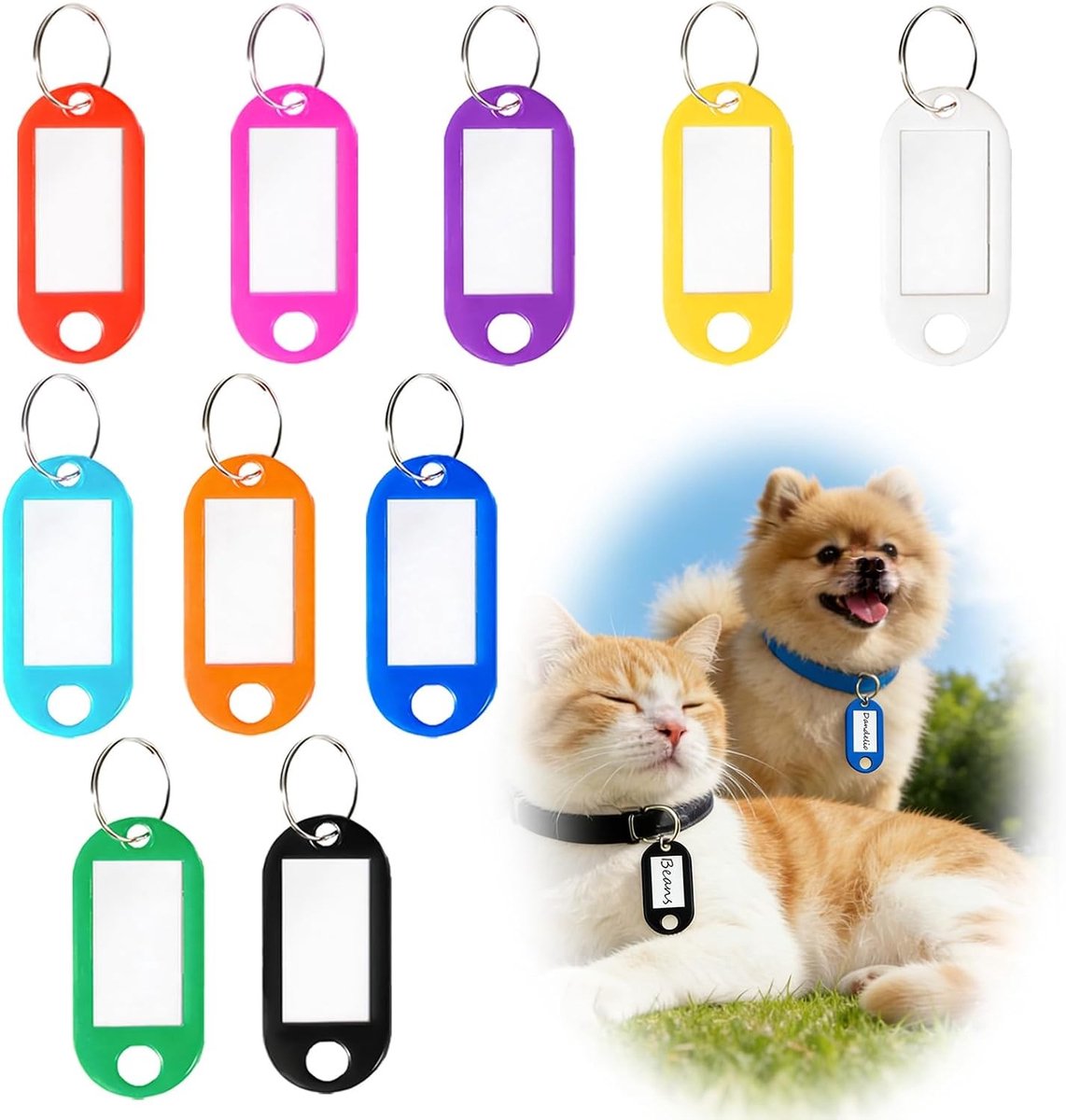 Set van 100 Sleutelhangers met Labels in 10 Kleuren, Ideaal voor Koffers, Huisdieren en Bagage