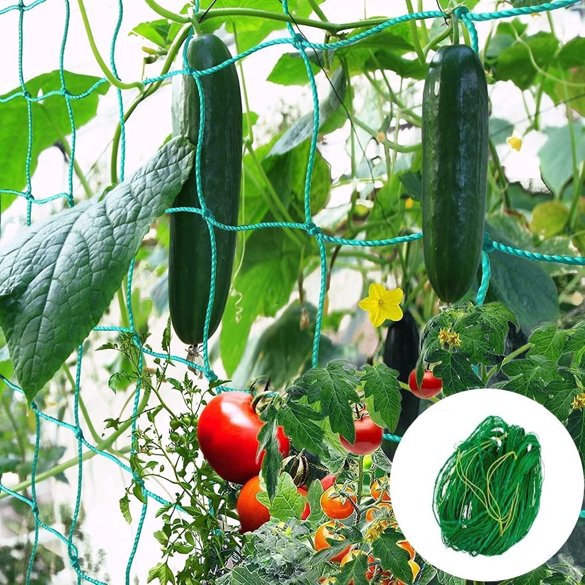 Klimnet voor Groenten met 30 Plant Ties - Ideaal voor Tomaten, Komkommers en Andere Klimplanten (2 x 3 m)
