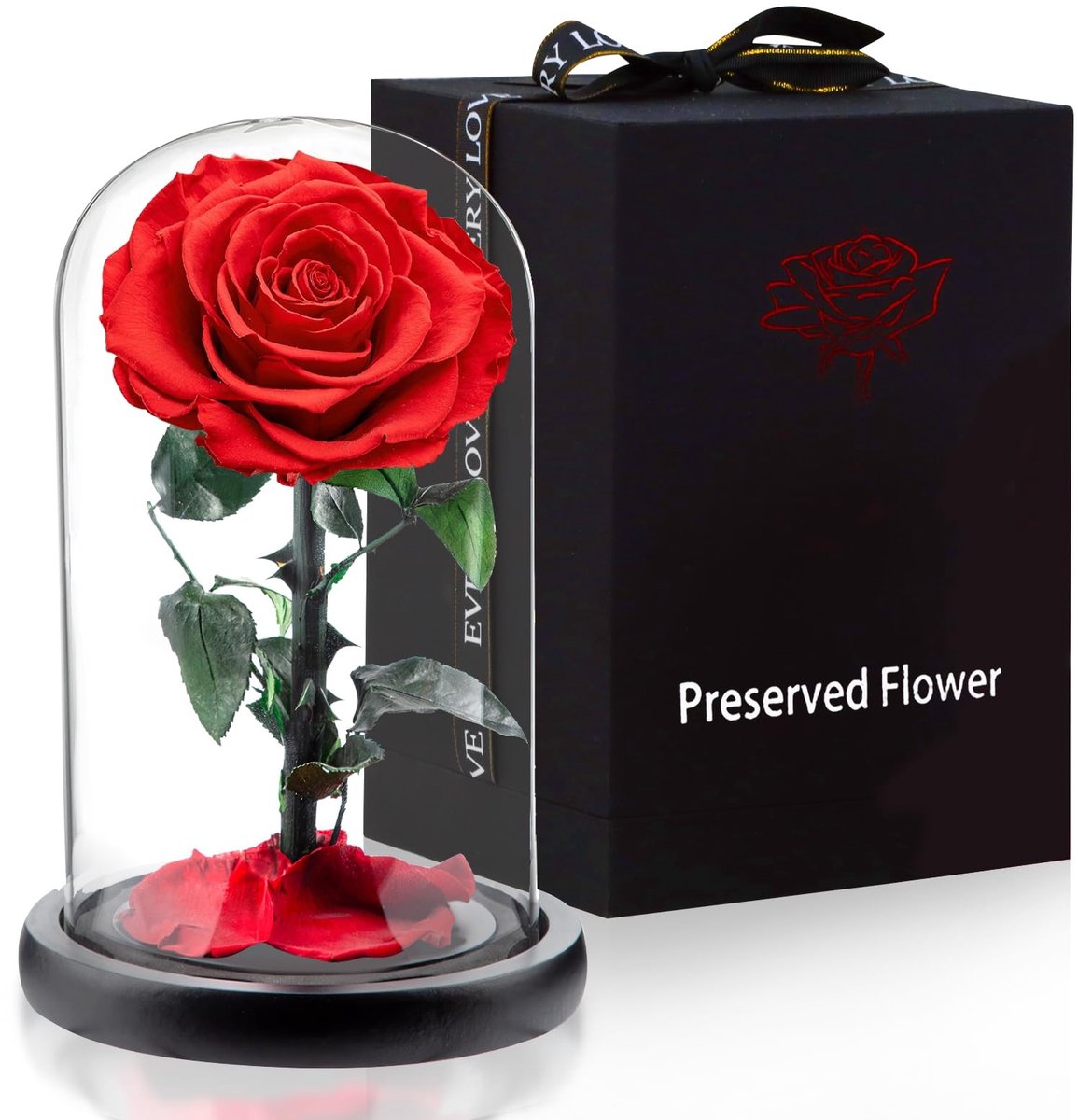 Dailygoods- Rozen Onder Glazen Koepel - Eternelle Rozen - Verjaardagscadeau voor Vrouwen - Valentijnsdag Cadeau - Moederdag Cadeau - Luxe Verpakking - 14 x 24 cm - Bloemen