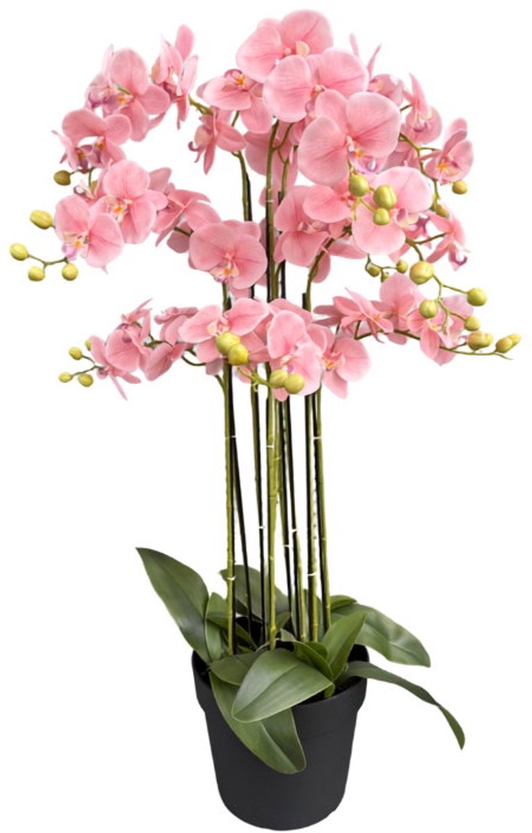 Orchidee new pink in pot H 110 cm kunstplant Oosterik Home