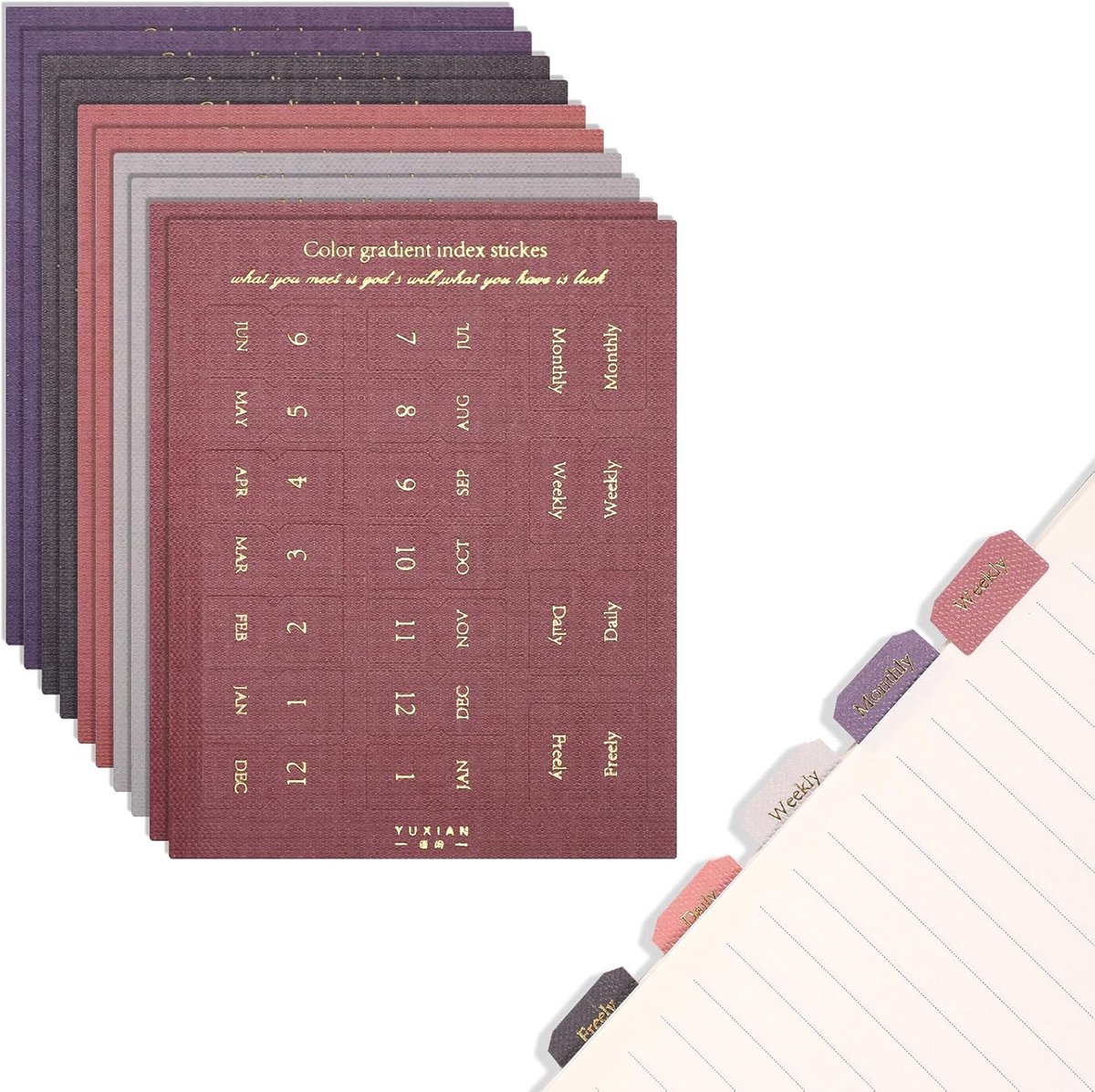 Thijox - 10 Stuks Zelfklevende Planner Maandelijkse Tabbladen, Veelkleurige Maandtabs voor Organiseren van Thuis, Kantoor, Kalender en Notitieboekjes