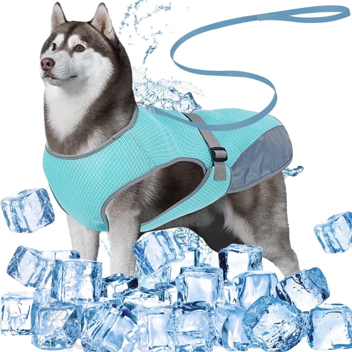 Dailygoods- Hondenkoelvest Ademend - Hondenjas Waterdicht - Hondenriem 1,5 m - Zomer Koelvest - Koeljas voor Middelgrote/Grote Honden - Machine Wasbaar