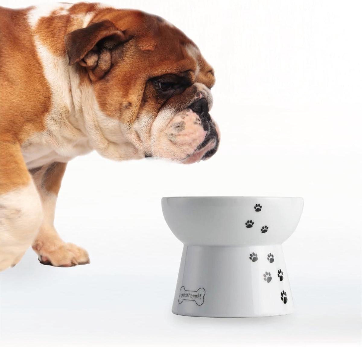 Verhoogde Hondenbak - Voerbak - Comfortabel Eten - Vaatwasser Magnetronbestendig - 12.4 x 12.4 x 10 cm - Wit
