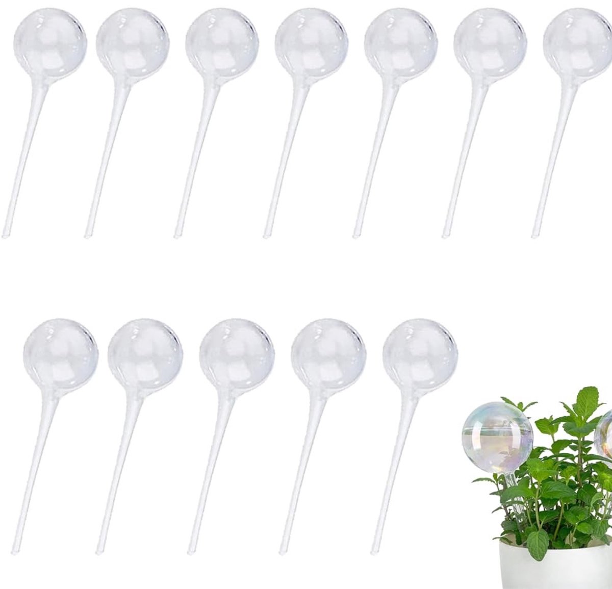 Dailygoods- Gietballen 12 stuks - Automatische Bewatering - PVC Irrigatie - Geschikt voor Potplanten - Duurzaam - 13 x 5 cm - Plantenbewateringssysteem