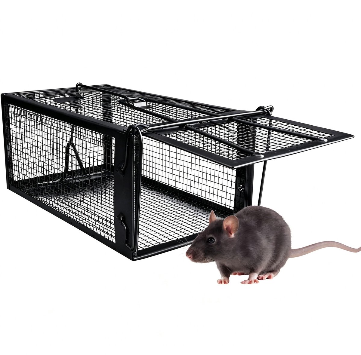 Dailygoods- Muizenval Diervriendelijk - Live Trap met Snelsluiting - Geschikt voor Binnen/Buiten - 31 x 17 x 13.5 cm - Ongediertebestrijding - Gebruiksvriendelijk